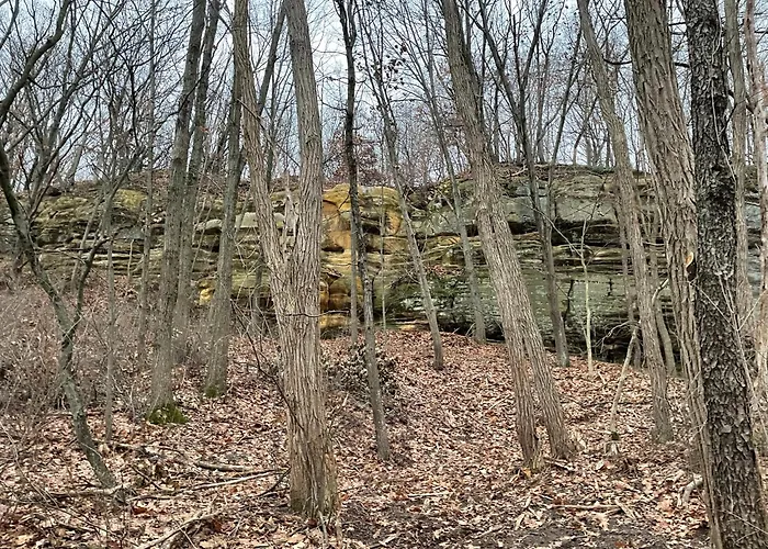 Lodge Treehouses At Starved Rock