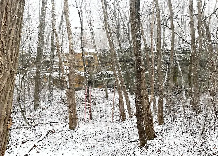 Lodge Treehouses At Starved Rock *